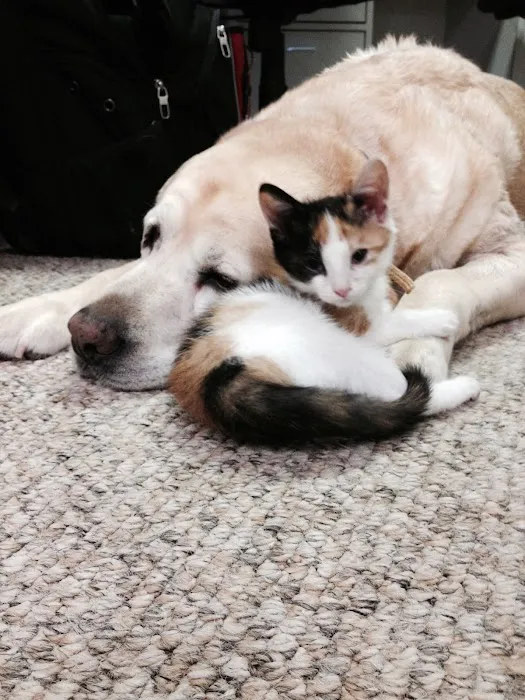 Eastwaye Veterinary Clinic 12