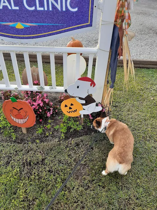 The Cottage Animal Clinic 12