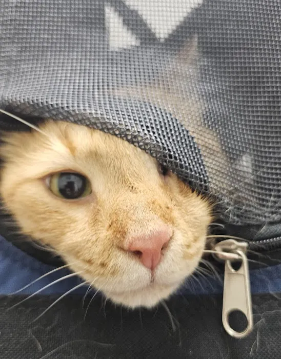The Cottage Animal Clinic 12