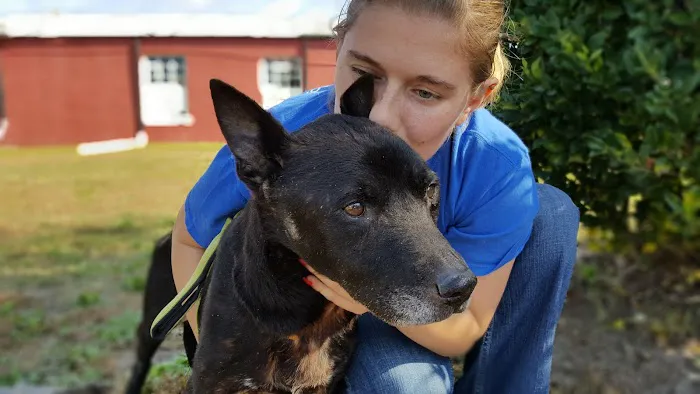 Countryside Animal Hospital 7