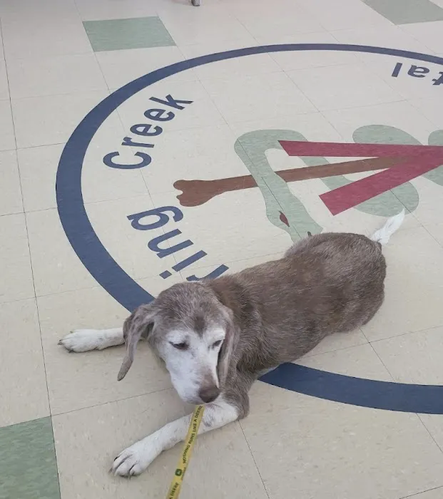 Spring Creek Animal Hospital 12