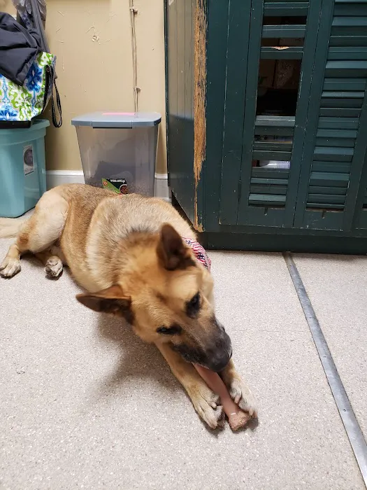 Animal Hospital-Lenoir County 12