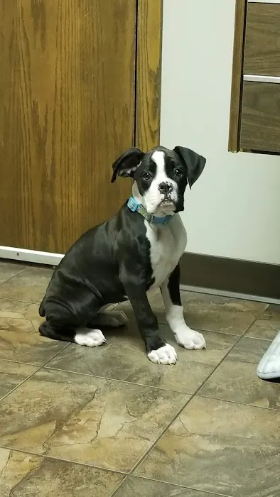 Avenue of the Saints Animal Hospital 3