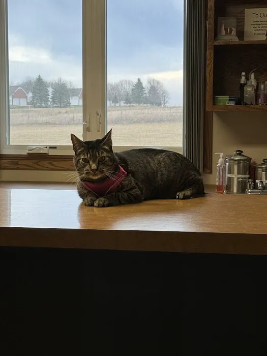 Avenue of the Saints Animal Hospital 12