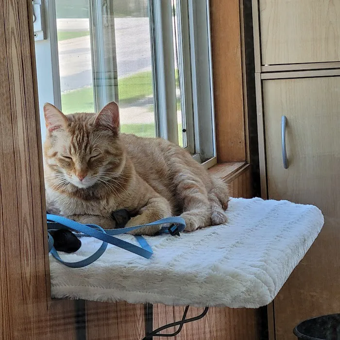 Waverly Veterinary Clinic PC 12
