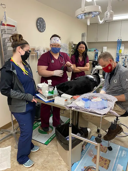 Waverly Veterinary Clinic PC 12