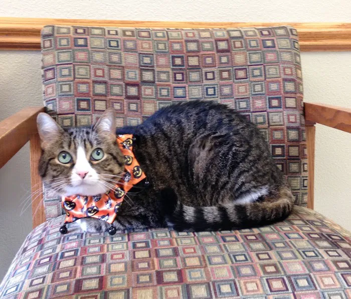 Taylor Veterinary Hospital 12