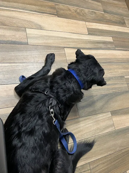 Cedar Valley Veterinary Center 12