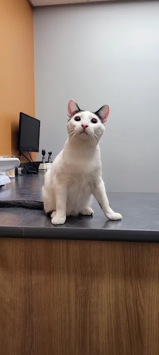Cedar Valley Veterinary Center 12