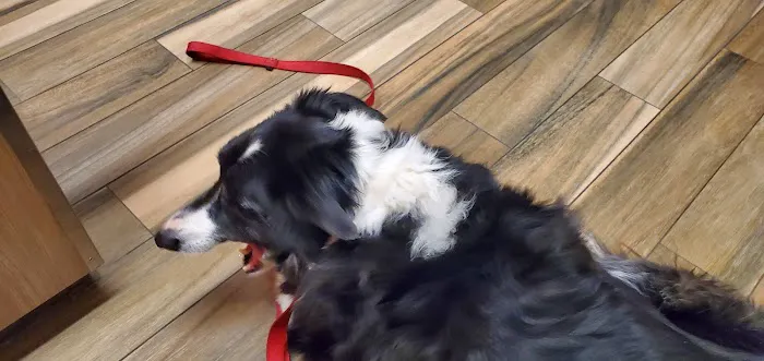 Cedar Valley Veterinary Center 12