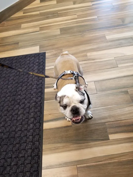 Cedar Valley Veterinary Center 12