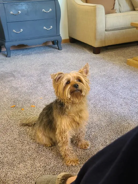 Cedar Valley Veterinary Center 12