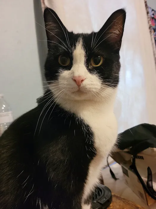 Cedar Valley Veterinary Center 12