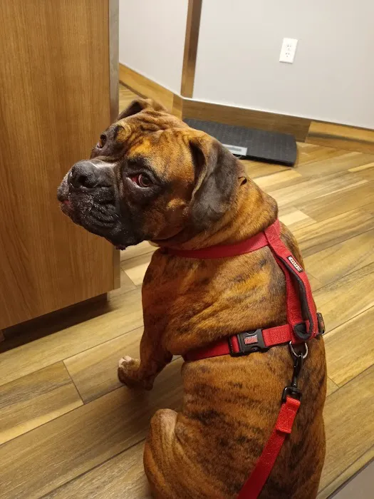 Cedar Valley Veterinary Center 12