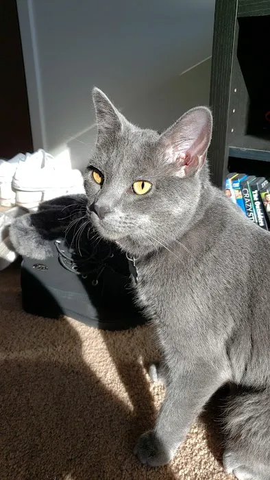 Cedar Valley Veterinary Center 12