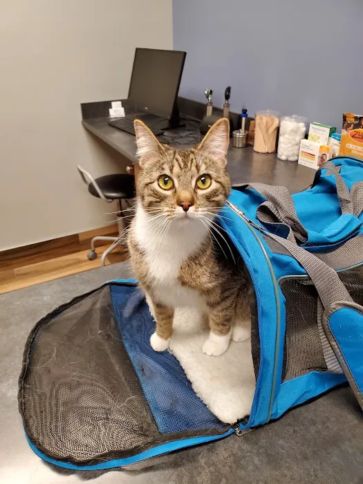 Cedar Valley Veterinary Center 12