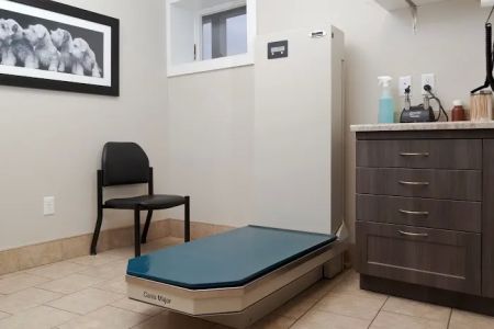 Cedar Heights Pet Clinic