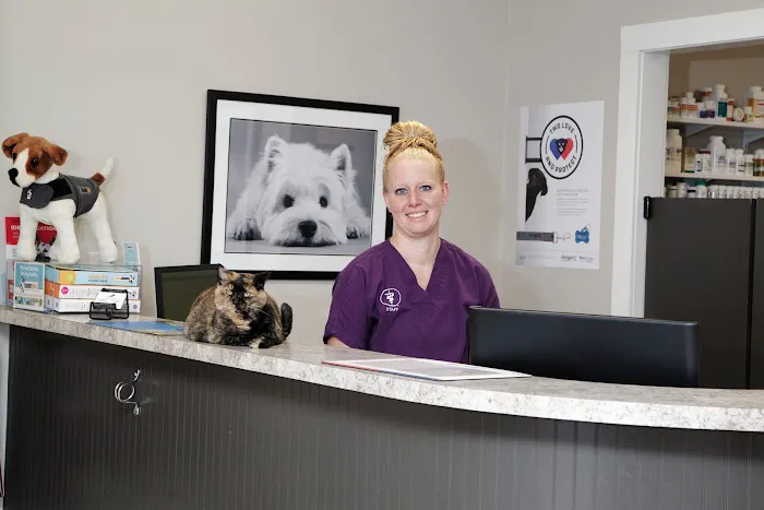 Cedar Heights Pet Clinic 12
