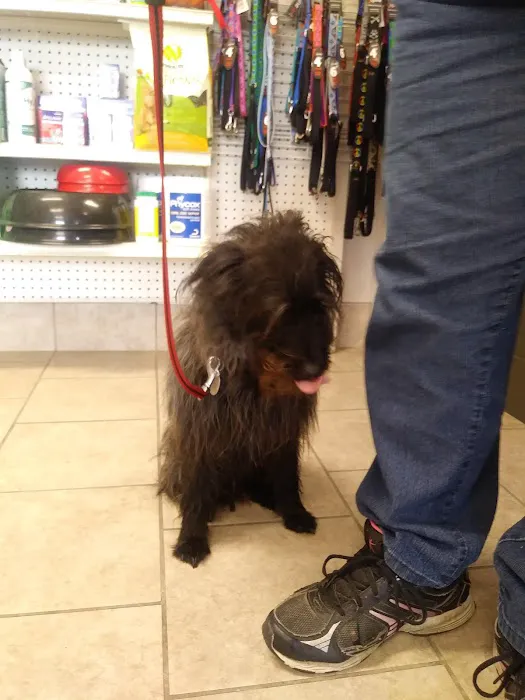 Cedar Heights Pet Clinic 12