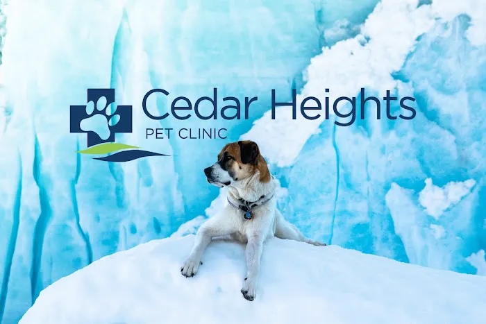 Cedar Heights Pet Clinic 12