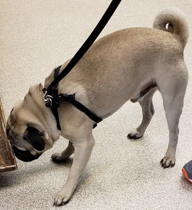 Hudson Veterinary Clinic 12