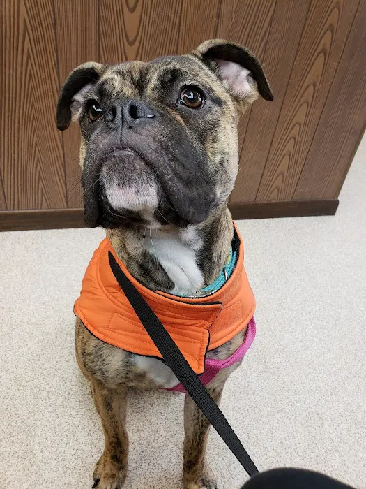 Hudson Veterinary Clinic 12