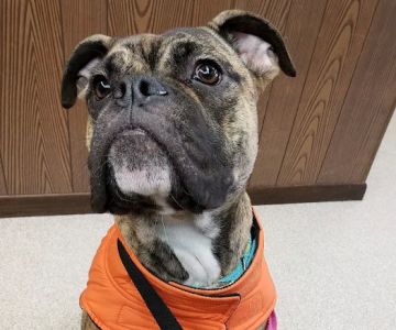 Hudson Veterinary Clinic