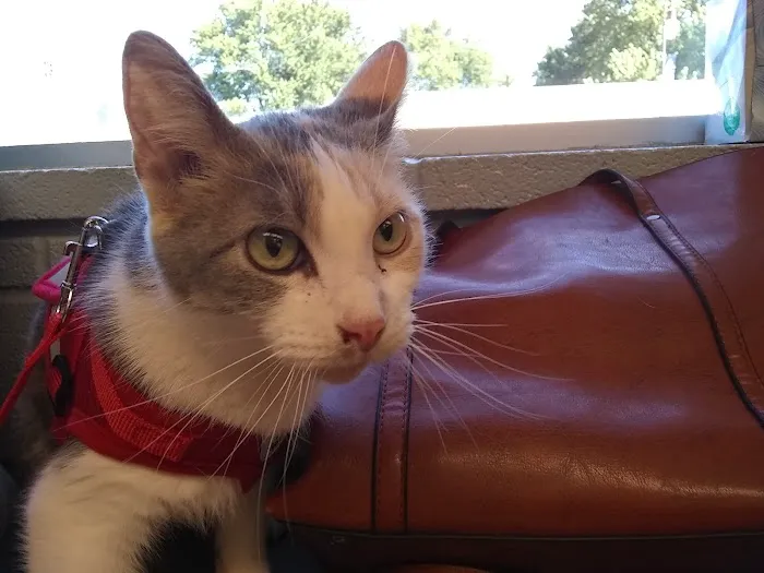Hudson Veterinary Clinic 12