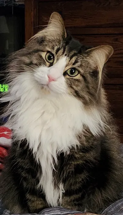 Hudson Veterinary Clinic 12