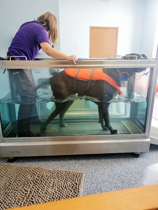 Advanced Pet Care Clinic 12