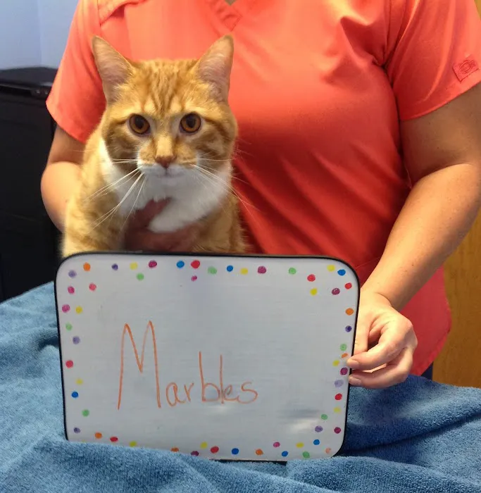 Advanced Pet Care Clinic 12