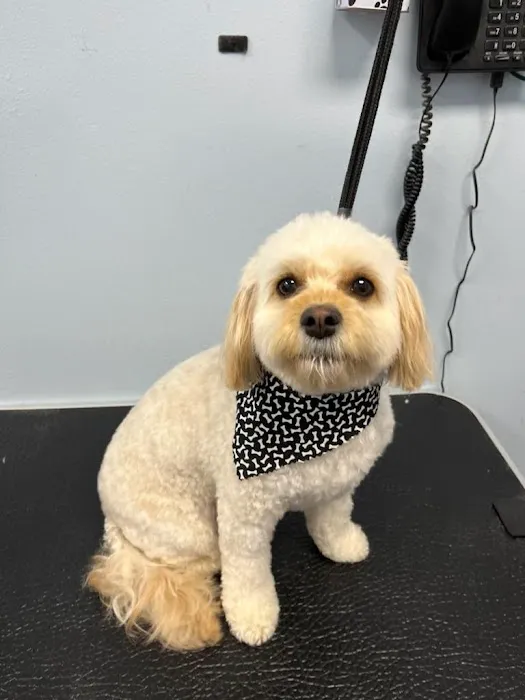 Advanced Pet Care Clinic 12