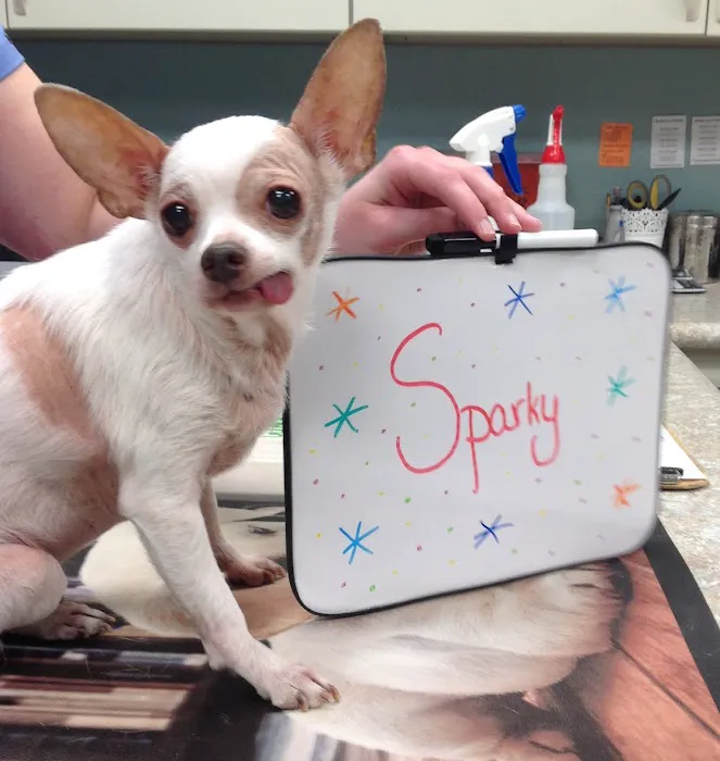 Advanced Pet Care Clinic 12