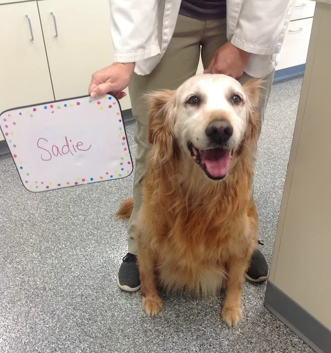 Advanced Pet Care Clinic 12