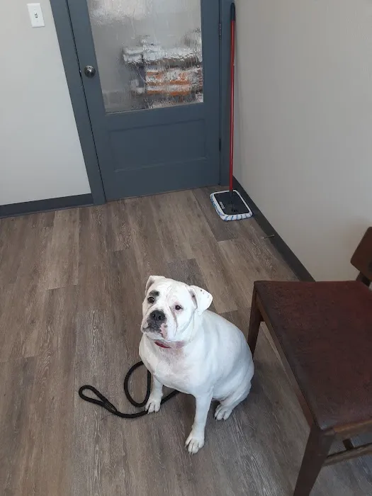Keystone Veterinary Clinic 2