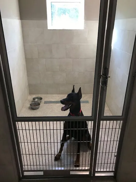 Brookside Veterinary Hospital 12