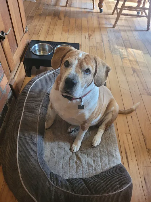 Brookside Veterinary Hospital 12