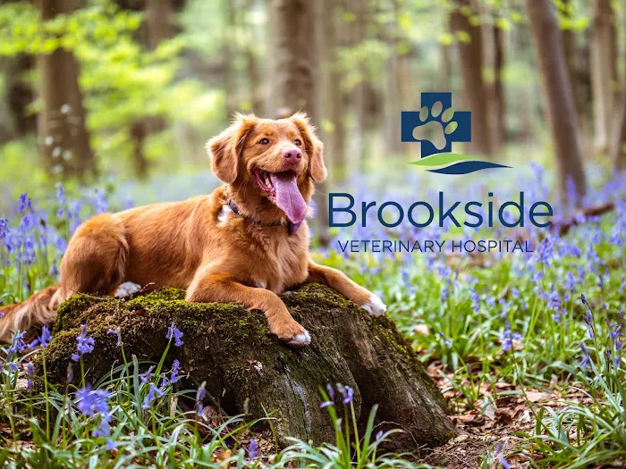 Brookside Veterinary Hospital 12