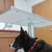 Bayshore Veterinary Clinic Pc ico
