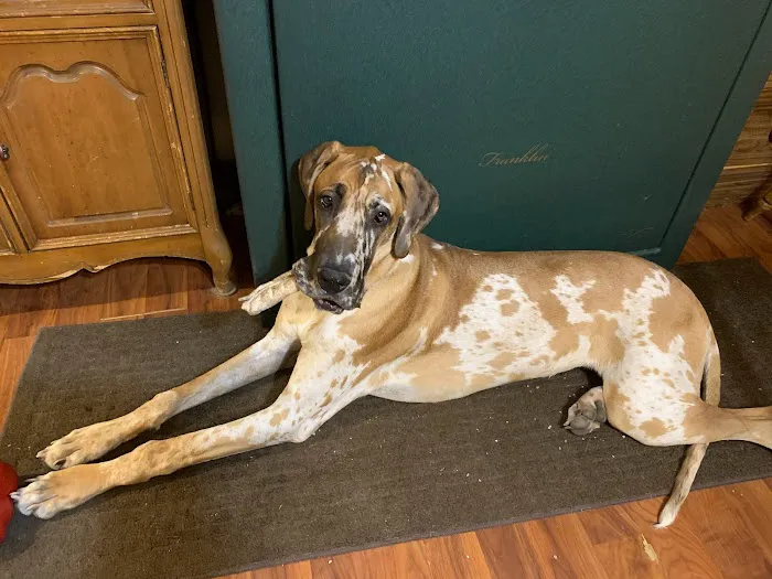 Bayshore Veterinary Clinic Pc 10