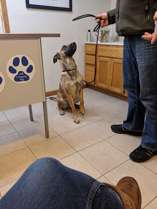 Countryside Veterinary Clinic 7