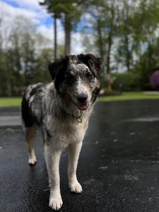 Crivitz Veterinary Hospital 1