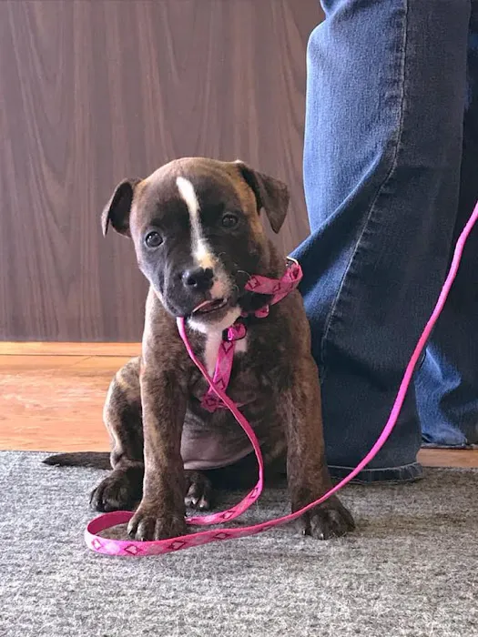 Crivitz Veterinary Hospital 7
