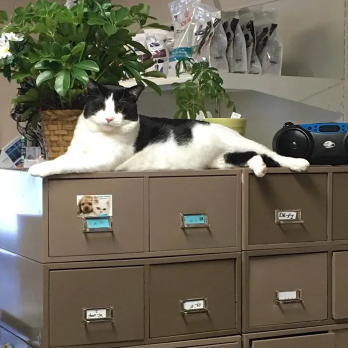 Crivitz Veterinary Hospital 9