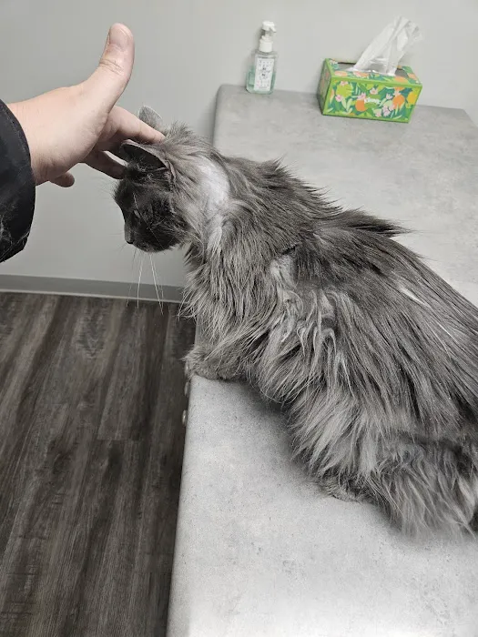 Ripley Paws Veterinary Clinic 3