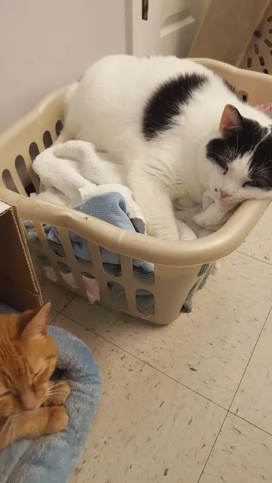 Ripley Paws Veterinary Clinic 1