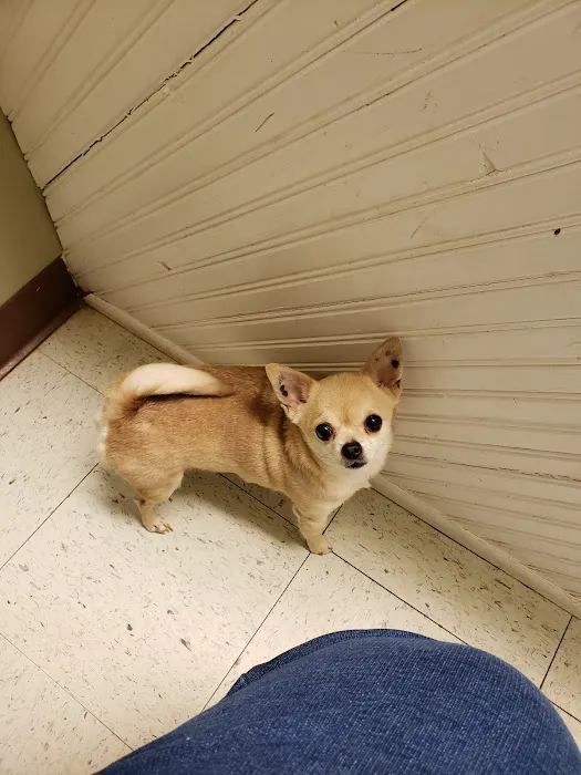 Ripley Paws Veterinary Clinic 10