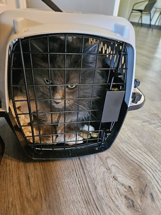 Ripley Paws Veterinary Clinic 4