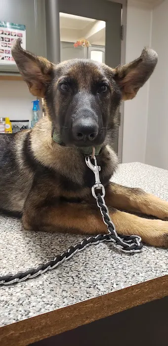 Jackson Animal Clinic 2