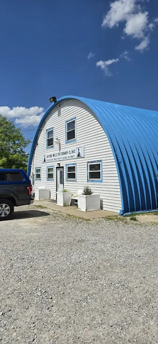 Mineral Wells Veterinary Clinic 4
